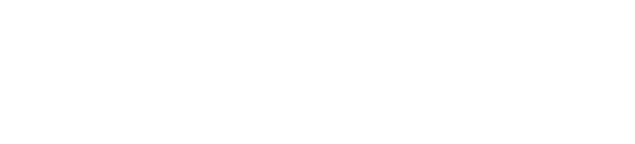 PRO DRON SHOT